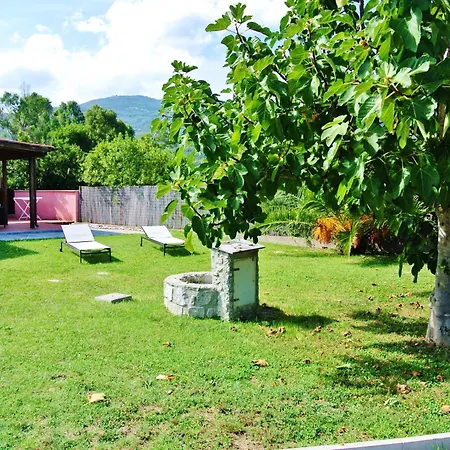 Apartment Bilocale In Elba
